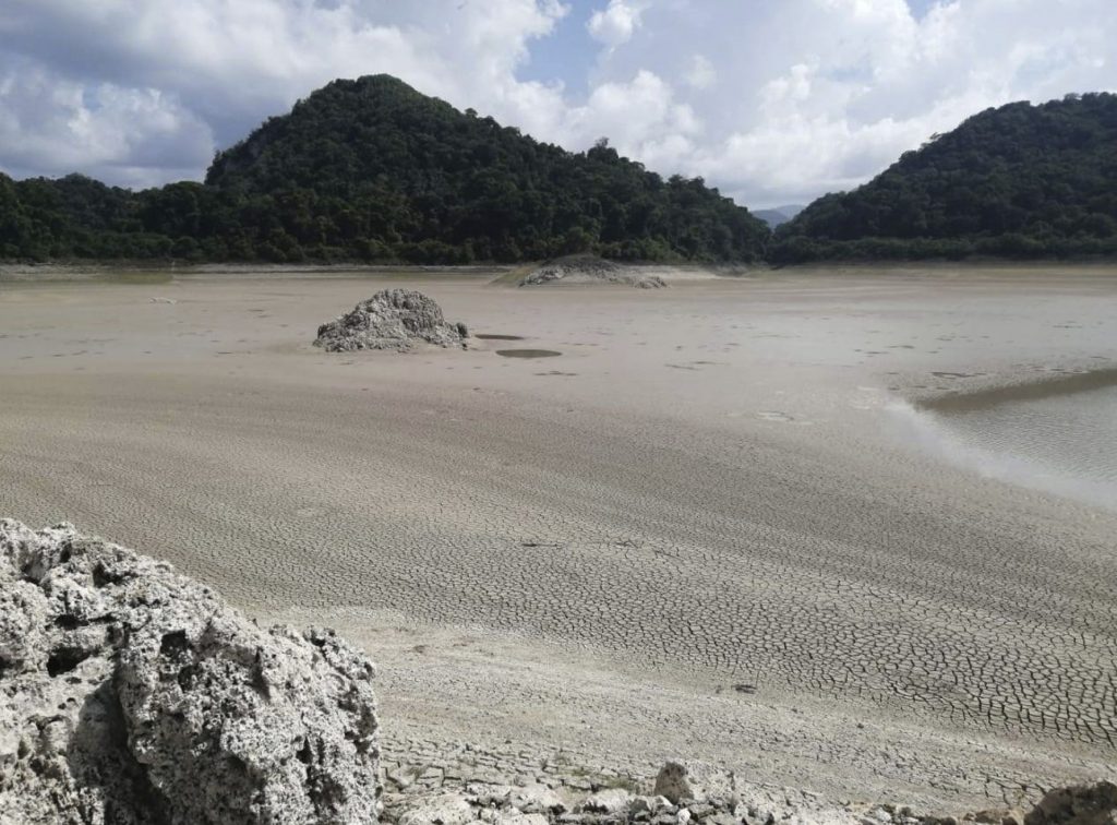 mexico jungle lakes disappear, mexico jungle lakes dry up, mexico jungle lakes evaporate, mexico jungle lakes disappear picture, mexico jungle lakes disappear august 2019