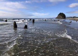 Oregon legislature repeals a ban on construction of new “critical facilities” in tsunami inundation zones