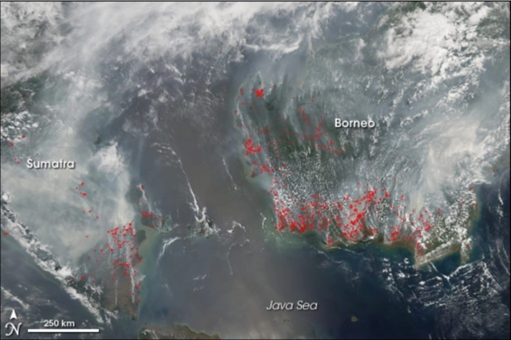 Fires in Indonesia disrupt air traffic