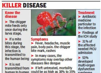 scrub typhus, scrub typhus epidemic starts in India, scrub typhus epidemic starts in India september 2019