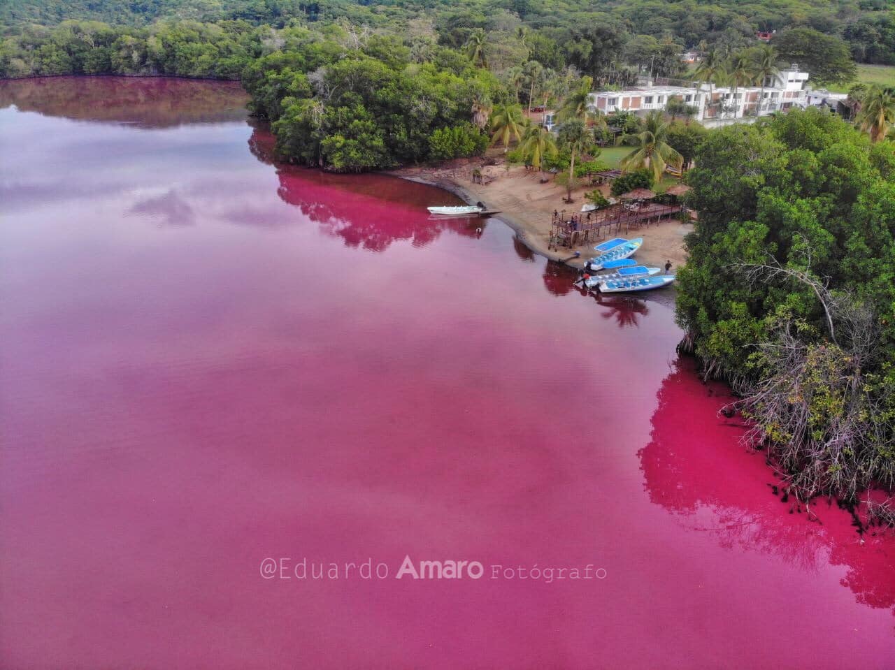 Вода стала розовой. Розовые озера Мексика. Лагуна-де-Лече. Озеро Лас Колорадас. Лас-Колорадас Юкатан Мексика.