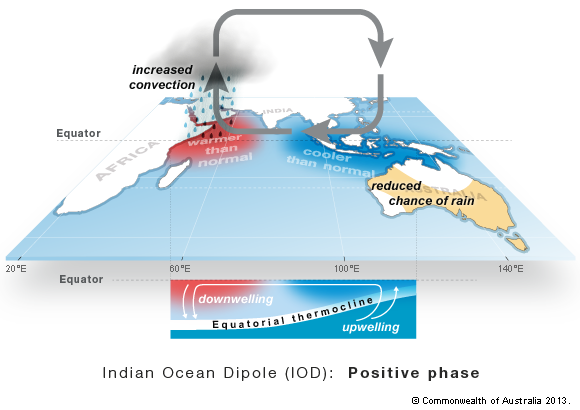 Positive Indian Ocean Dipole, positive iod