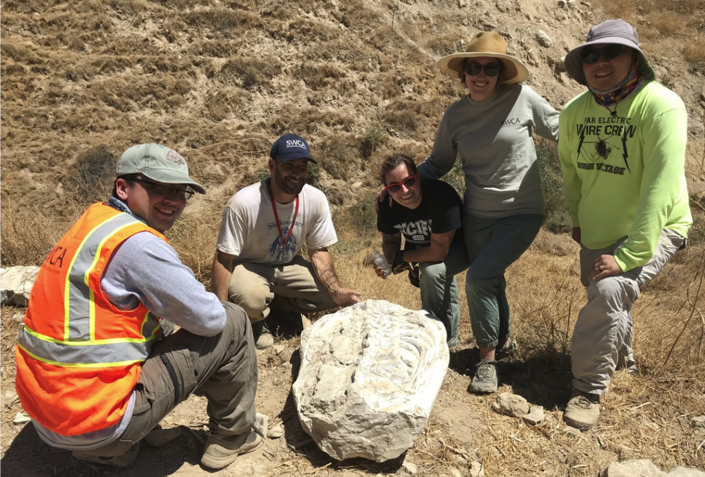 ridgecrest earthquake fossil, ridgecrest earthquake fossil photo, ridgecrest earthquake fossil video, ridgecrest earthquake fossil pictures,Powerful earthquakes reveal mysterious 15-million-year-old fossil in California 