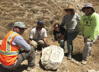 ridgecrest earthquake fossil, ridgecrest earthquake fossil photo, ridgecrest earthquake fossil video, ridgecrest earthquake fossil pictures,Powerful earthquakes reveal mysterious 15-million-year-old fossil in California