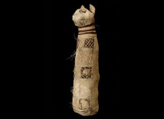 ancient cat mummy 3 tails and 5 hing legs