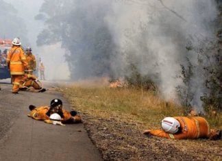 australia fires, australia fires pictures, australia fires videos, more than 1 mio hectares burnt in australia fires