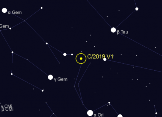 new comet, new comet discovery november 2019, C/2019 V1 (Borisov)