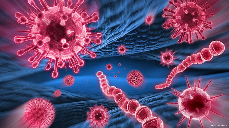 New strain of HIV detected for the first time in 19 years