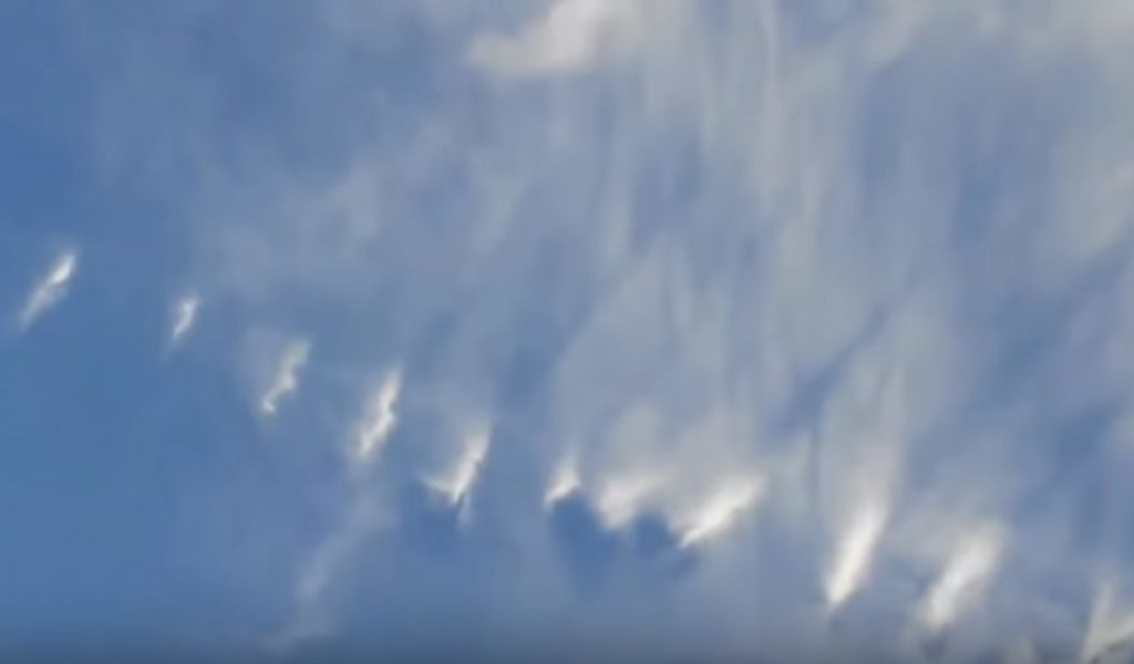 strange sky phenomenon florida, mysterious cloud florida, jellyfish cloud florida sky