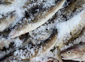 Extremely low cod numbers lead feds to close the Gulf of Alaska fishery for the first time