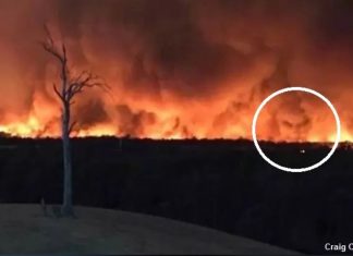 demonic face nsw fires, Spooky 'Demon Face' Spotted in Smoke From Australian Wildfires, Spooky 'Demon Face' Spotted in Smoke From Australian Wildfires pictures, Spooky 'Demon Face' Spotted in Smoke From Australian Wildfires video, Spooky 'Demon Face' Spotted in Smoke From Australian Wildfires twitter