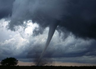 oklahoma tornado record 2019, oklahoma tornado record 2019 video, oklahoma tornado record 2019 pictures, 2019 brought a record-setting number of twisters to Oklahoma in Tornado Alley