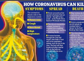 how coronavirus can kill, Chinese cities try to flush out coronavirus patients by stopping cough medicine sales