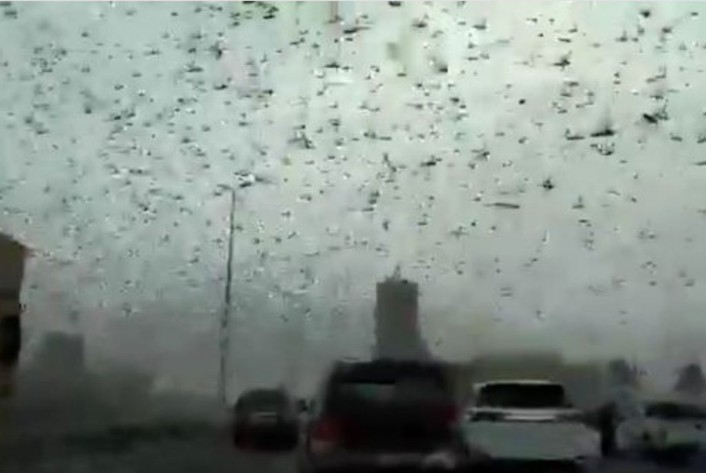 Apocalyptic and biblical plague of locusts invade engulfs Middle East Saudi Arabia, Bahrain, Qatar, yemen on February 20 2020, middle east locusts bahrain saudi arabia qatar yemen february 2020 video, middle east locusts bahrain saudi arabia qatar yemen february 2020 picture
