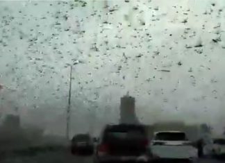 Apocalyptic and biblical plague of locusts invade engulfs Middle East Saudi Arabia, Bahrain, Qatar, yemen on February 20 2020, middle east locusts bahrain saudi arabia qatar yemen february 2020 video, middle east locusts bahrain saudi arabia qatar yemen february 2020 picture