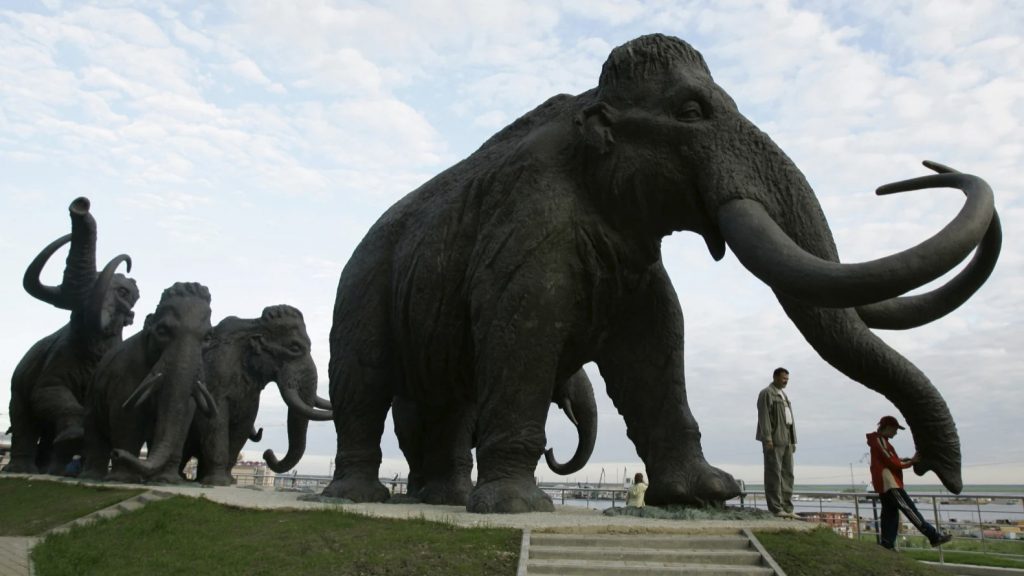 woolly mammoth mutation,Diabetes, developmental disorders, male infertility, and even the inability to smell flowers are at least some of the health problems experienced by one of the last mammoths to grace this good Earth