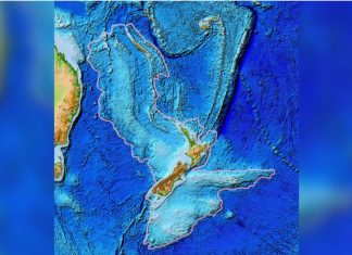 zealandia, zealandia map, zealandia video, zealandia forms during ring of fire birth