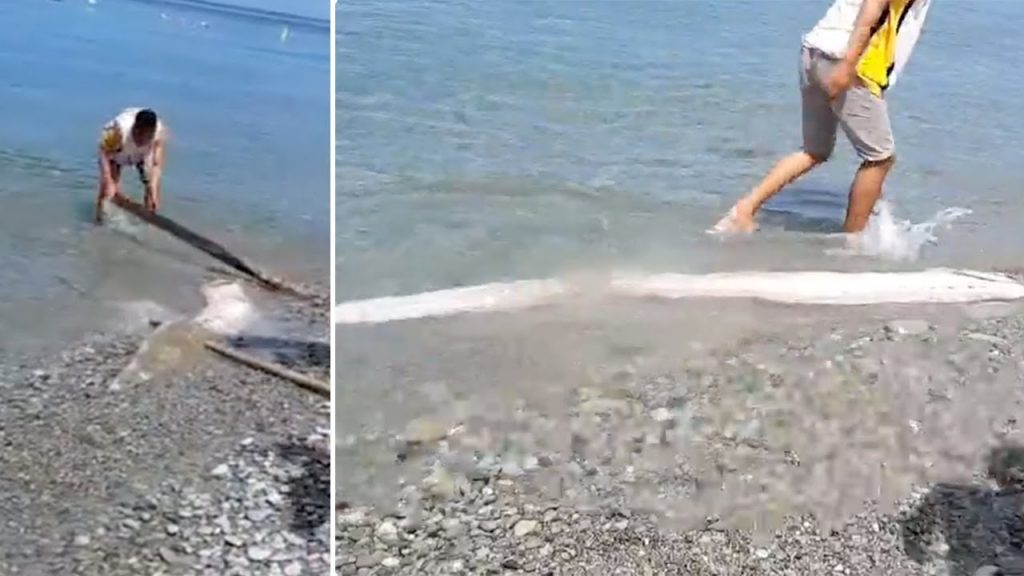Rare oarfish washes ashore in the Philippines on March 3, Rare oarfish washes ashore in the Philippines on March 3 video, Rare oarfish washes ashore in the Philippines on March 3 picture, Rare oarfish washes ashore in the Philippines on March 3 legend, Rare oarfish washes ashore in the Philippines on March 3 imminent earthquake