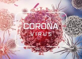 Learn tips and tricks to prevent coronavirus infection in this informative article on how to protect yourself and your loved ones from corona