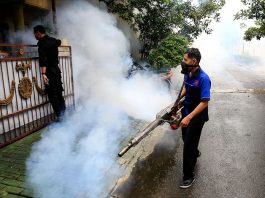 deadly dengue fever outbreak in Indonesia, A deadly outbreak of Dengue Fever is currently hitting Indonesia and other South East Asian countries hampering the detection of coronavirus cases, A deadly outbreak of Dengue Fever is currently hitting Indonesia and other South East Asian countries hampering the detection of coronavirus cases march 2020