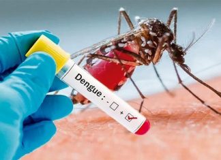dengue fever outbreak latin america