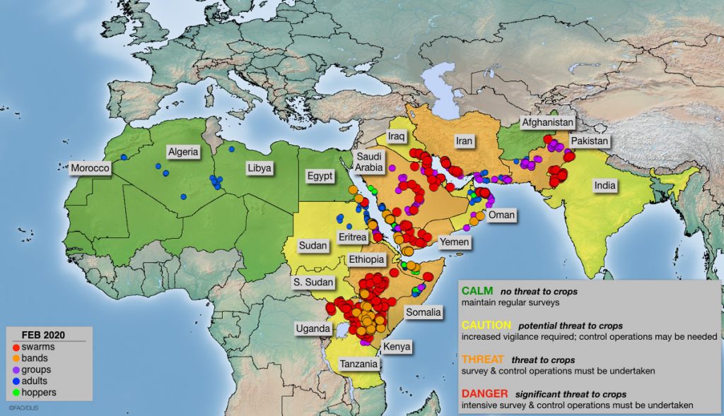 locust plague risk map 2020