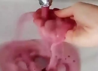 Red wine flows from taps in Italy video, Red wine flows from taps in Italy videos, Red wine flows from taps in Italy march 2020