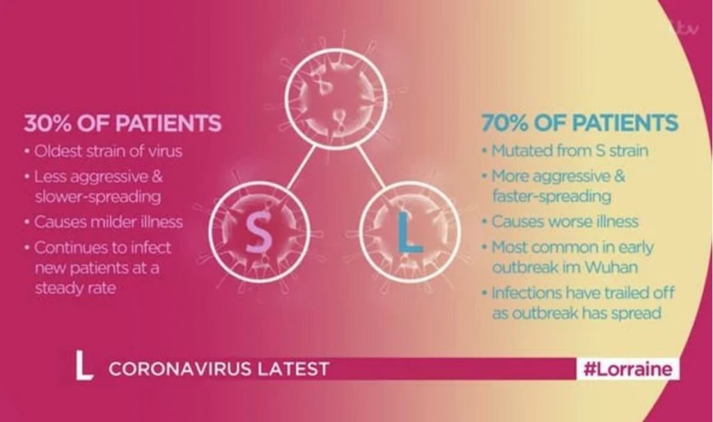 two strains coronavirus mutation, Chinese scientists discover 2 strains of the new coronavirus showing it has already mutated