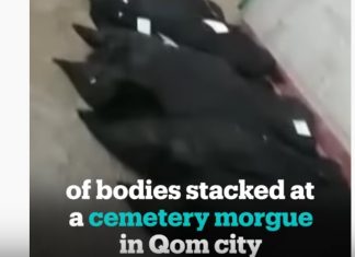 Terrifying video shows dead bodies in a cemetery morgue in Qom Iran, Terrifying video shows dead bodies in a cemetery morgue in Qom Iran video, Terrifying video shows dead bodies in a cemetery morgue in Qom Iran coronavirus, coronavirus iran video