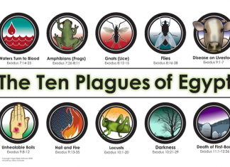 Locusts, pestilence of livestock, disease. The 10 plagues of Egypt seem to be playing out in today’s world, as locusts invade Africa, pigs die in China and the pandemic stalks the Earth