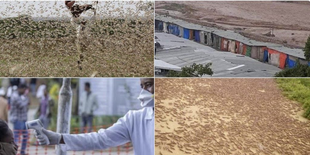 Flash floods, locust, storms, hail, are ravaging countries around the world, as the battle against the health crisis continues. The simultaneous occurrence of these “biblical plagues“ puts the livelihoods of millions at risk