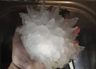 del rio hail storm texas, del rio hail storm texas pictures, del rio hail storm texas videos, del rio hail storm texas news, del rio hail storm texas easter weekend 2020,Gigantic hail stone that fell from the sky over Del Rio, Texas on April 11