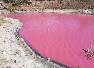 pink lagoon mexico, pink lagoon mexico april 2020, Se pinto de rosa la laguna de Chichimequillas, Se pinto de rosa la laguna de Chichimequillas foto, Se pinto de rosa la laguna de Chichimequillas video
