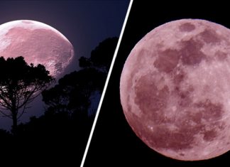 pink full moon, pink supermoon, pink supermoon april 2020, brightest supermoon april 2020, largest supermoon april 2020, meteor shower april 2020, lyrid meteor shower april 2020