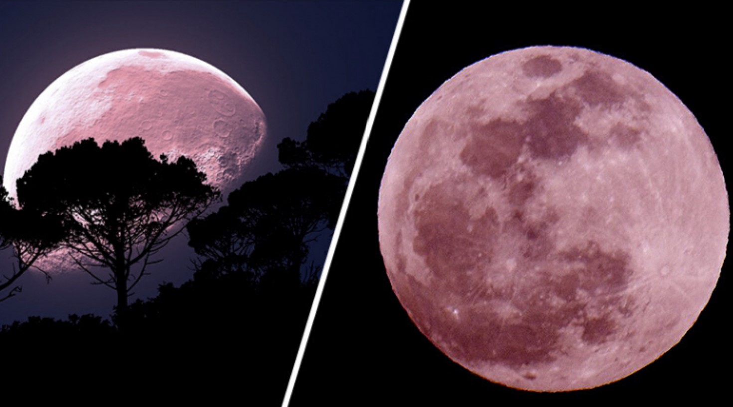 Розовая луна 2024. Розовая Луна. Розовая Луна 2021. Полнолуние розовая Луна. Клубничное полнолуние.
