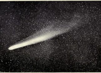 Great Comet 1882, Great Comet 1882 picture, Great Comet 1882 drawing