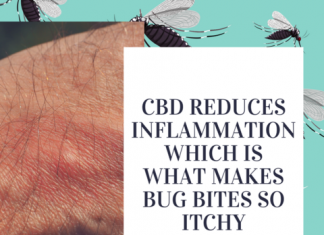 CBD to treat insect bites and stings, Use CBD to treat insect bites and stings