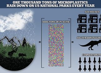 Millions of microplastic particles are spiralling through the Earth's atmosphere and raining down on protected wilderness areas and US national parks like the Grand Canyon