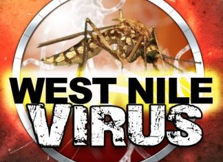 west nile virus usa danger pandemic birds usa