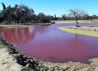 lake turns red in Paraguay, lake turns red in Paraguay video, lake turns red in Paraguay picture, lake turns red in Paraguay july 2020