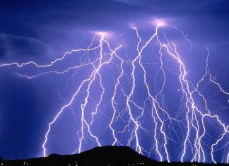 lightning kills hundreds of animals in India