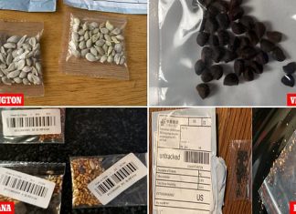 Mysterious seed packets from China sent to dozens of people in US states