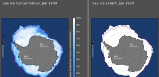 Sea ice extent in Antarctica greater now than in 1980