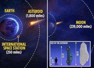 Asteroid makes closest flyby of Earth on record – and Nasa didn't see it coming