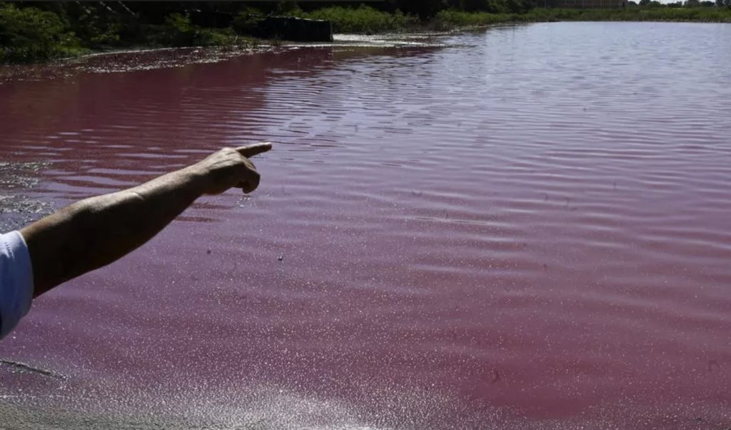 lake turns blood red in Paraguay, lake turns blood red in Paraguay pictures, lake turns blood red in Paraguay video