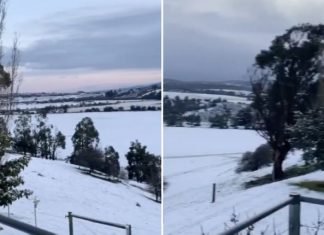 launceston, launceston Tasmania covered in snow for first time in 40 years, extremely rare snow in Tasmania and victoria, rare snow australian city august 5 2020
