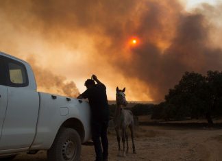 apocalyptic fires spain andalucia, apocalyptic fires spain andalucia september 2020, apocalyptic fires spain andalucia video