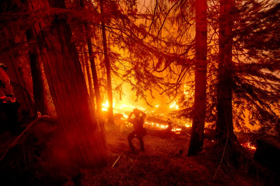 california fires, california fires pictures, california fires video, california fires record