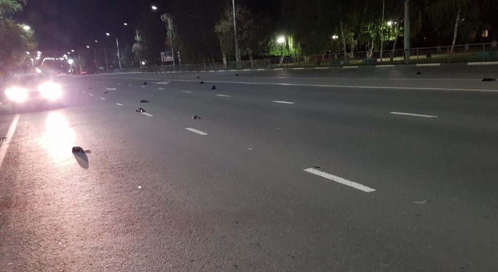 crows fall from sky russia, dead crows russia, crows falling dead from sky russia