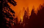US West Coast wildfires continue to rage: At least 36 people dead, nearly 5 million acres torched - smoke cloud reaches East Coast